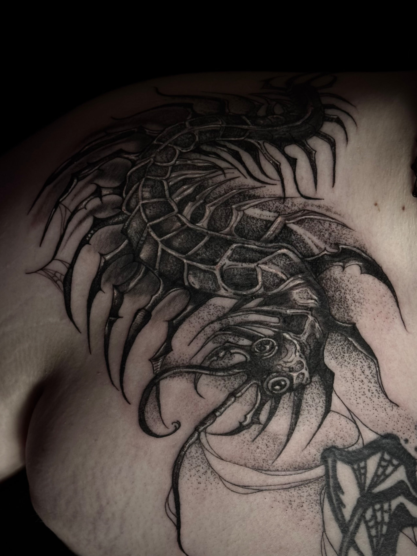 Dark illustrative centipede back piece with dotwork shading and webbing