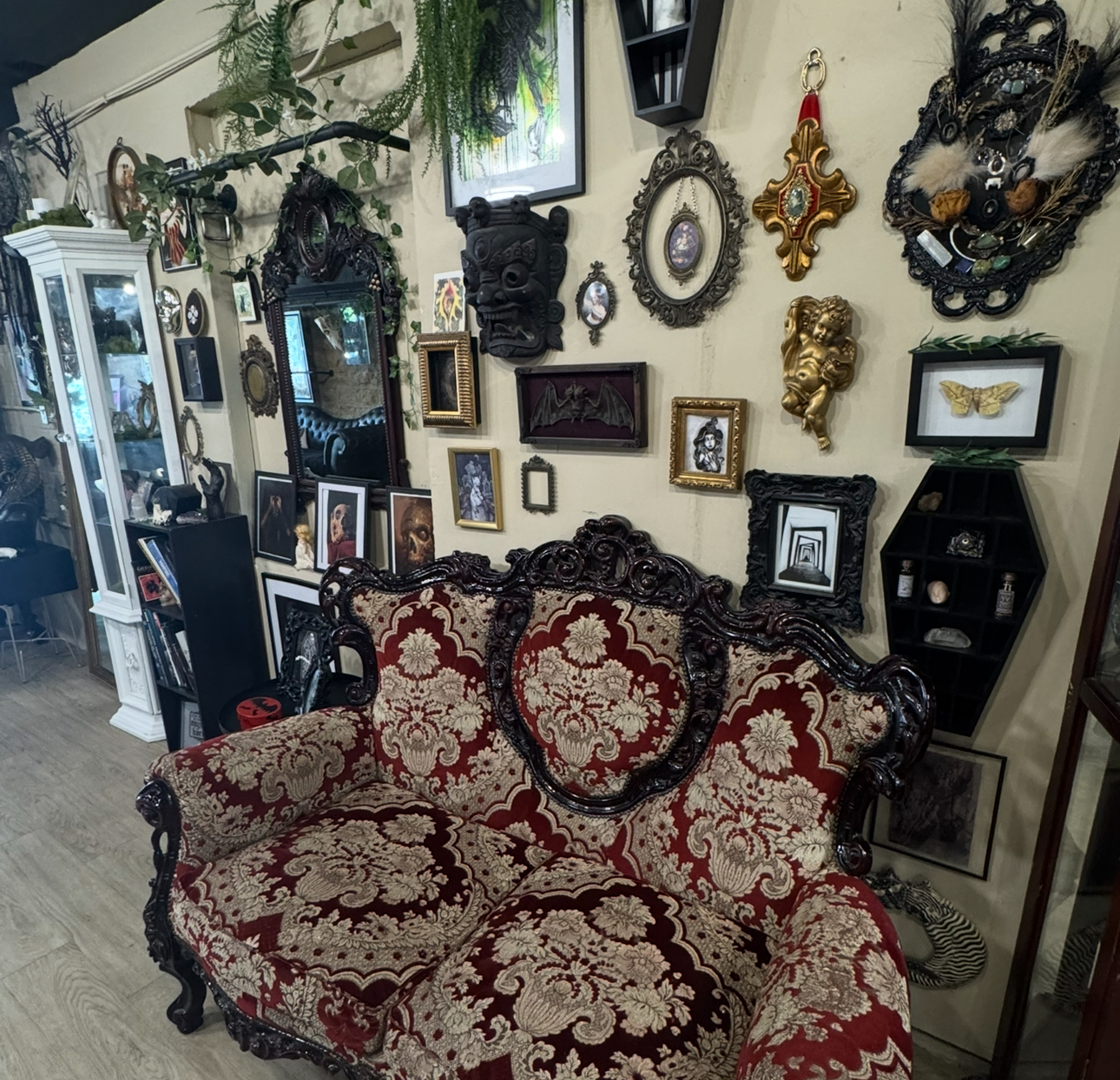 Ornate crimson damask loveseat in front of a salon wall of gothic frames, a carved demon mask and a coffin-shaped curio shelf