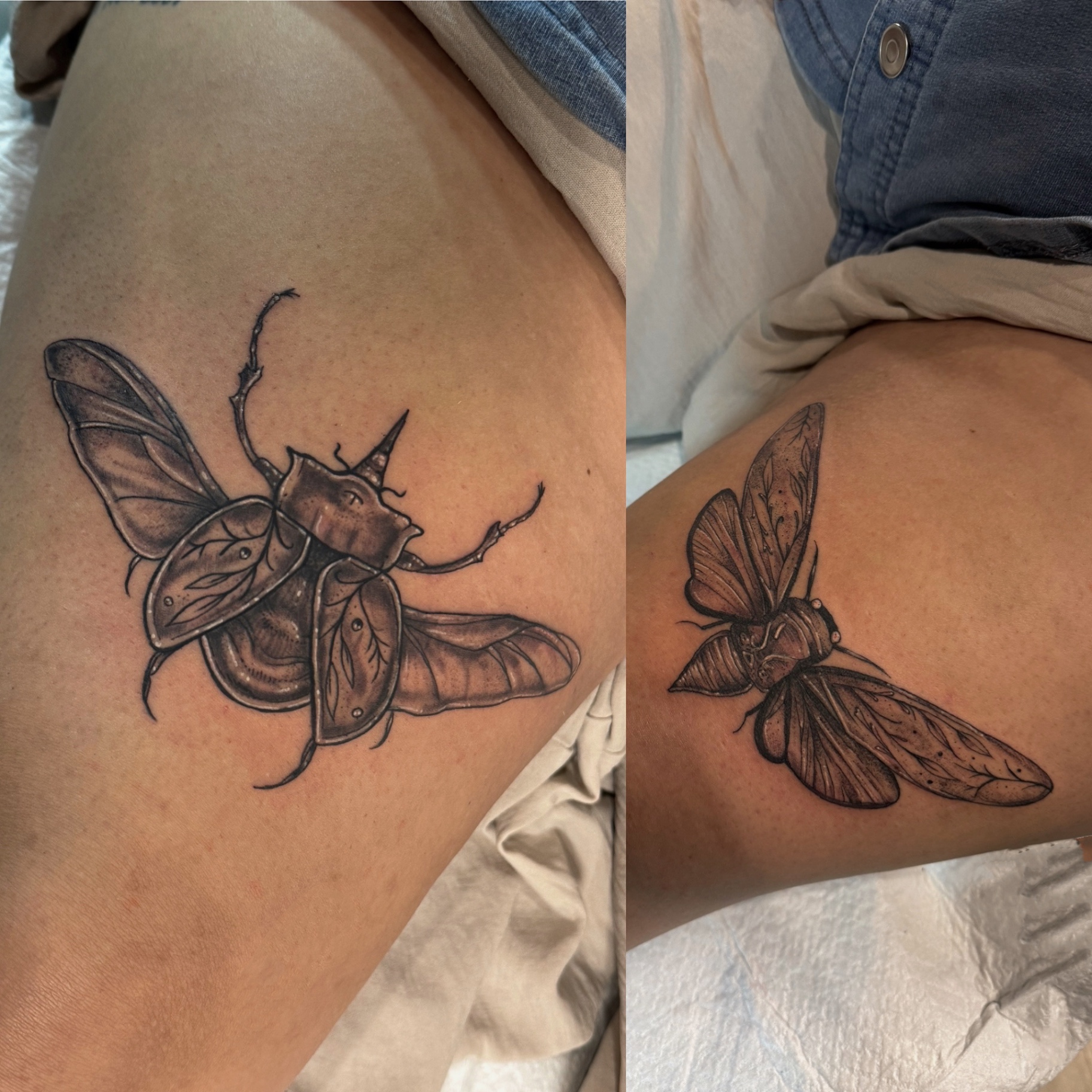 Black and grey beetle and cicada thigh tattoos