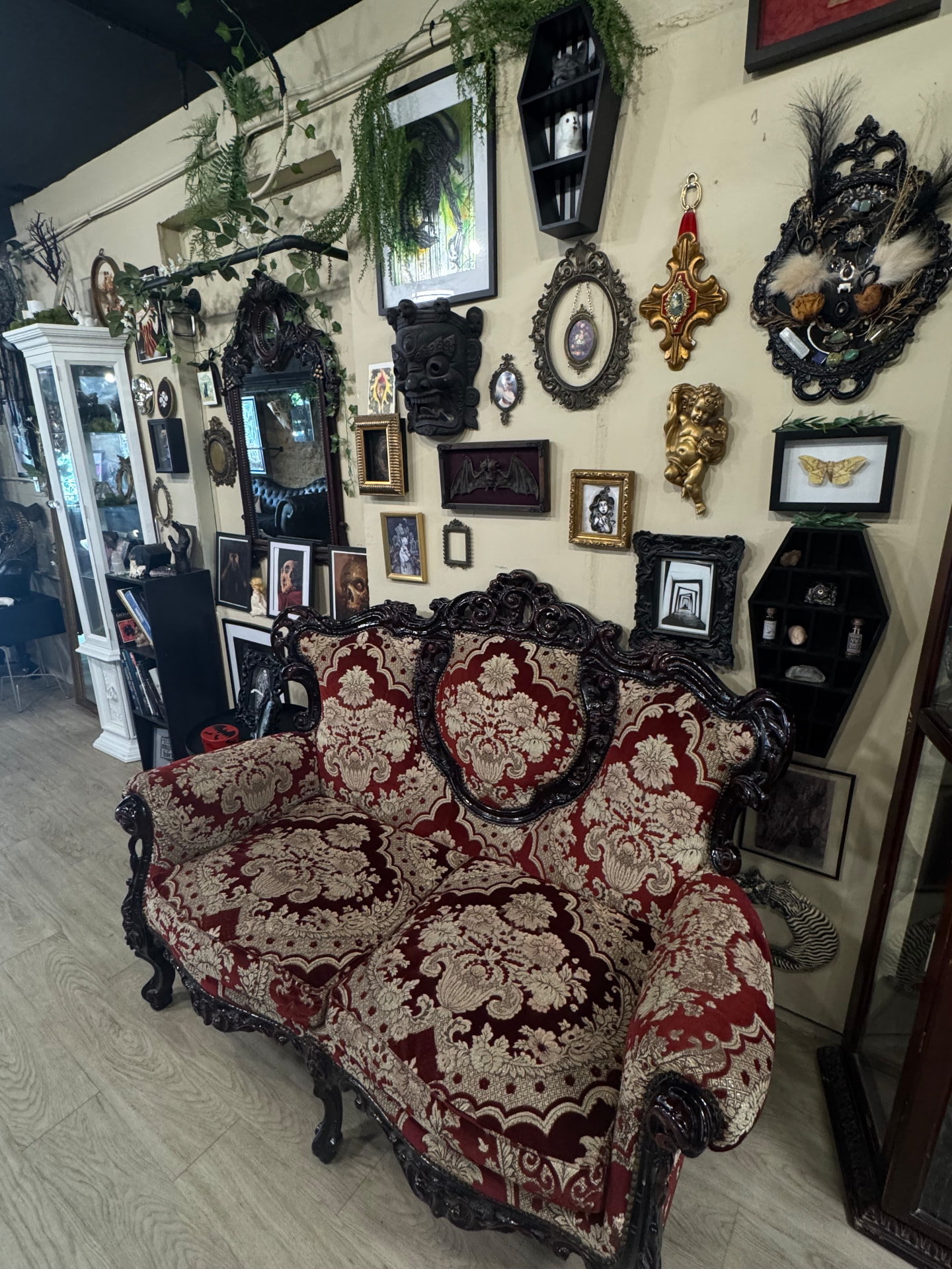 Antique damask loveseat beneath a wall of gothic frames, coffin shelves and oddities